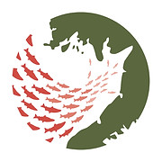 Bristol Bay Science & Research Institute logo