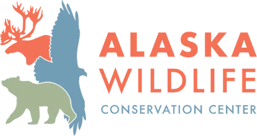 Alaska Wildlife Conservation Center Inc logo