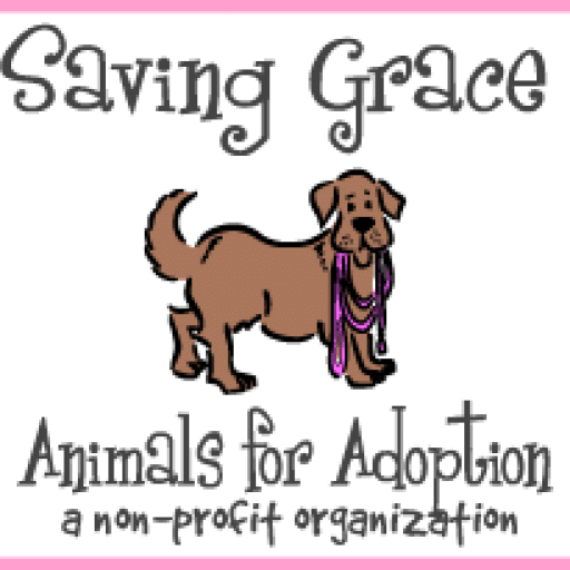 Saving Grace Animals for Adoption logo