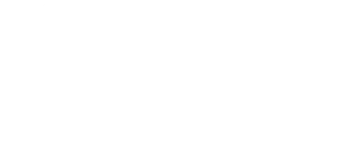 WV Womens Alliance Inc logo