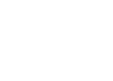 Horizon to Horizon logo