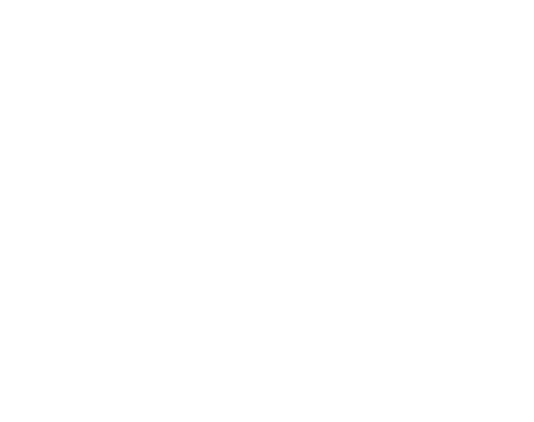 Horizon to Horizon logo
