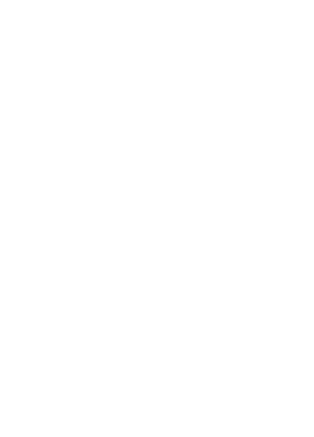 The Foundation logo