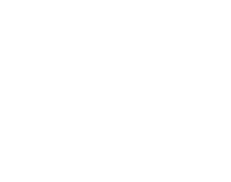 Mega Lab logo