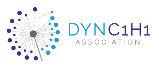 Dync1h1 Association Inc logo