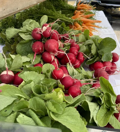 Easthampton Farmers Market Inc logo