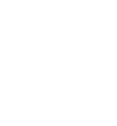 Short Term Bible Schools logo