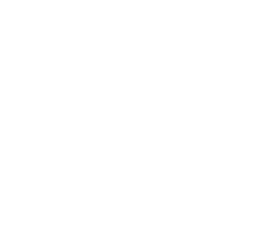 Delphi Schools Inc logo