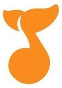 Newport Symphony Orchestra logo