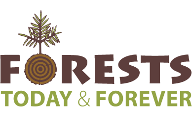 Forests Today and Forever logo