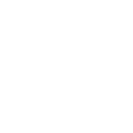 Youth Era logo