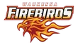 Waukesha Firebirds Youth Sports Organization Inc logo
