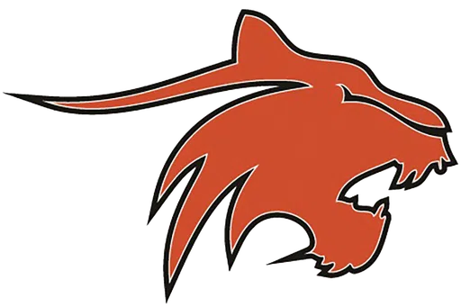 Greater Latrobe Youth Football logo