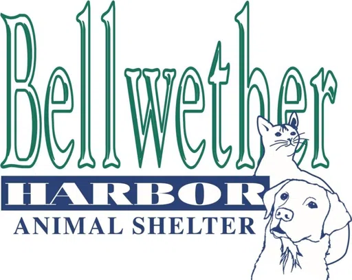 Bellwether Harbor Animal Shelter logo