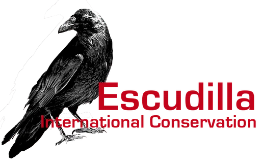 Escudilla logo
