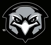 Nelson Youth Football logo