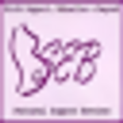 Bseb-Birth Support Education & Beyond Inc logo
