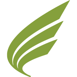 Momentum for Health logo