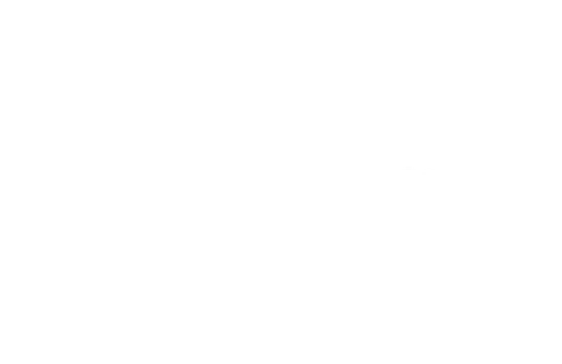 SWORDS to Plowshares Veterans Rights Organization logo