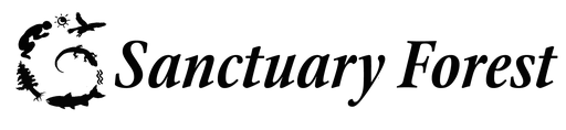 Sanctuary Forest Inc logo