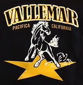Vallemar Parent Teacher Organization logo