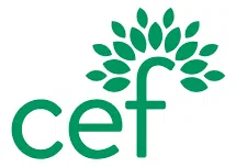 Cabrillo Education Foundation logo