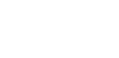 Nooksack Salmon Enhancement Association logo