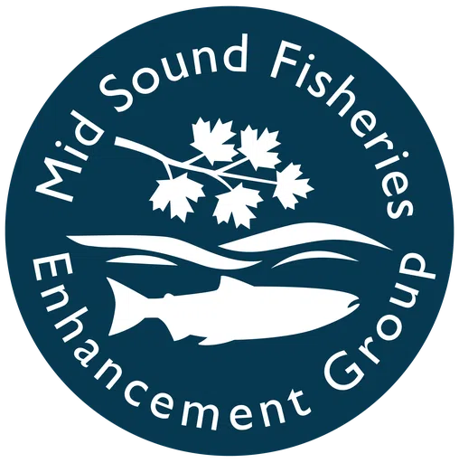 Mid Puget Sound Fisheries Enhancement Group logo