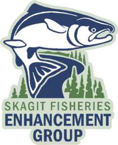 Skagit Fisheries Enhancement Group logo