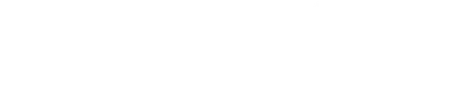 Riverdale School Foundation logo