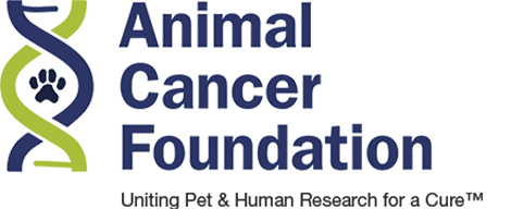 Animal Cancer Foundation logo