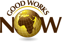 Nations Training Institute Inc logo