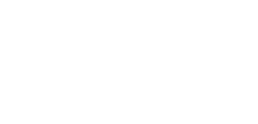 Simon Wiesenthal Center Inc logo