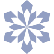 Winter Conference of Brain Research logo