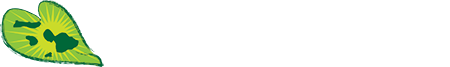Community Work Day Program logo