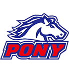 Hawaii Pony Baseball Inc logo