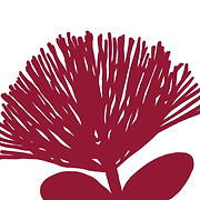 Hilo Medical Center Foundation logo