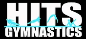 Hawaiian Island Twisters logo