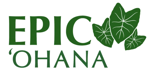 Effective Planning Innovative Communication Inc logo