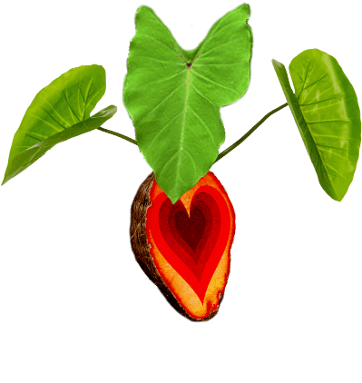 Ohana Makamae Inc logo