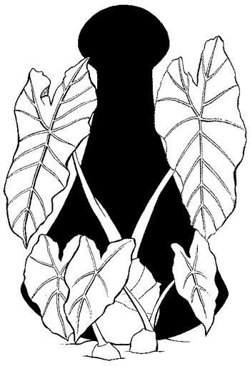 Kipahulu Ohana Inc logo