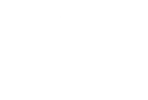Pro-Voice Project Foundation Inc logo