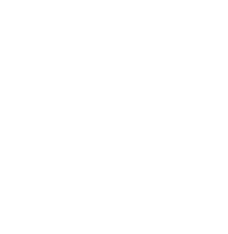 Aaplog Action logo