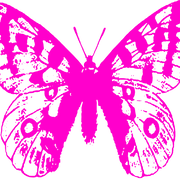 Butterfly Strong Foundation logo