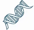 Animal Pain Research Institute logo