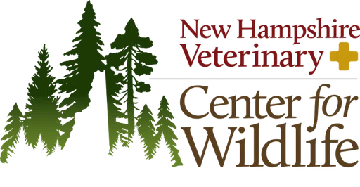 New Hampshire Veterinary Center for Wildlife Inc logo