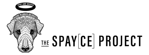 Spayce Project logo