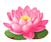 Lotus Family Services logo